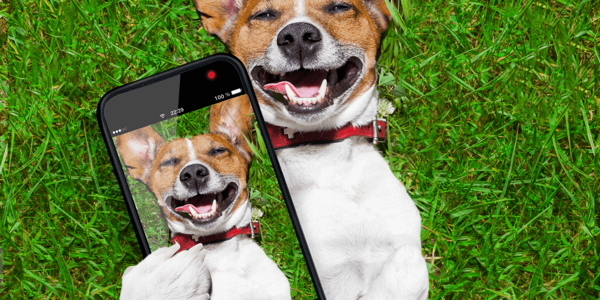 Funny Snapchat Group Links