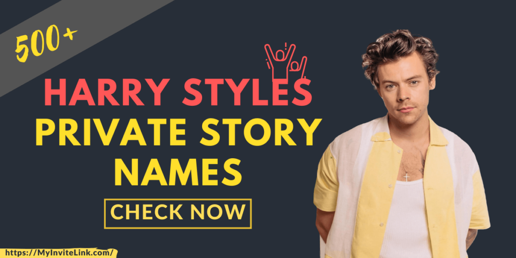 Harry Styles Private Story Names