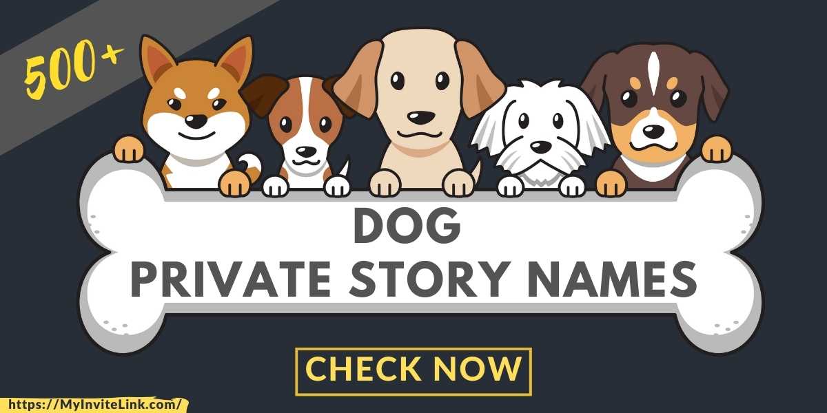 424+ Hilarious Private Story Names - 2024 Update!